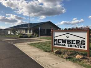 Support of Newberg Animal Shelter