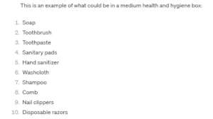 Example list of medium Health and Hygiene kit