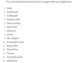 Example list of large Health and Hygiene kit