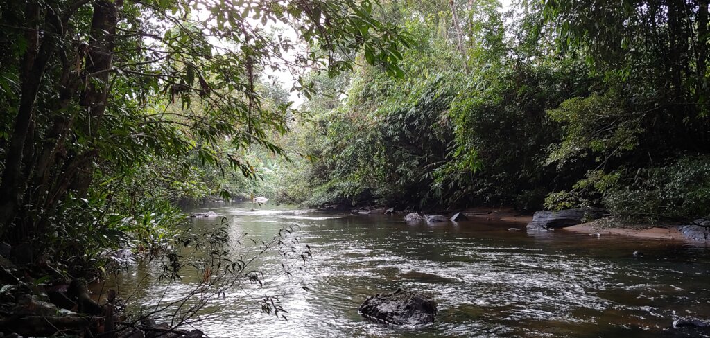 Rainforest Land Conservation in Sri Lanka