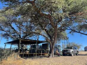 The Elephants for Africa camp Main are from afar