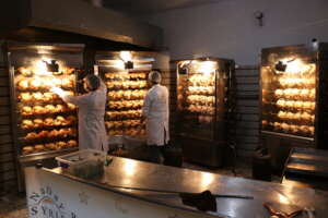 Rotisserie Chickens for Meals
