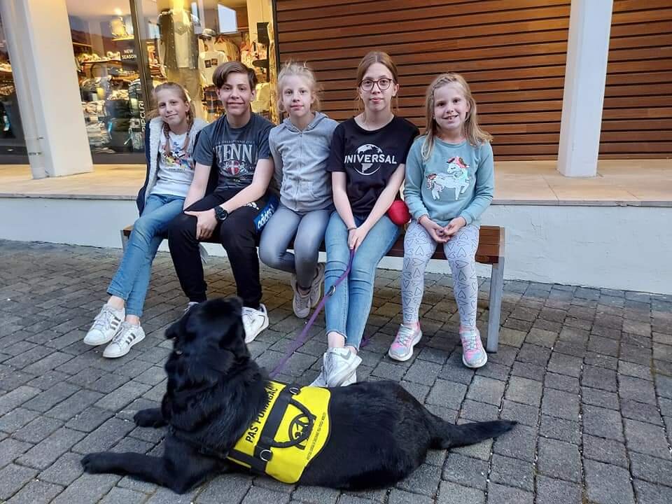 Help children and youths get assistance dogs
