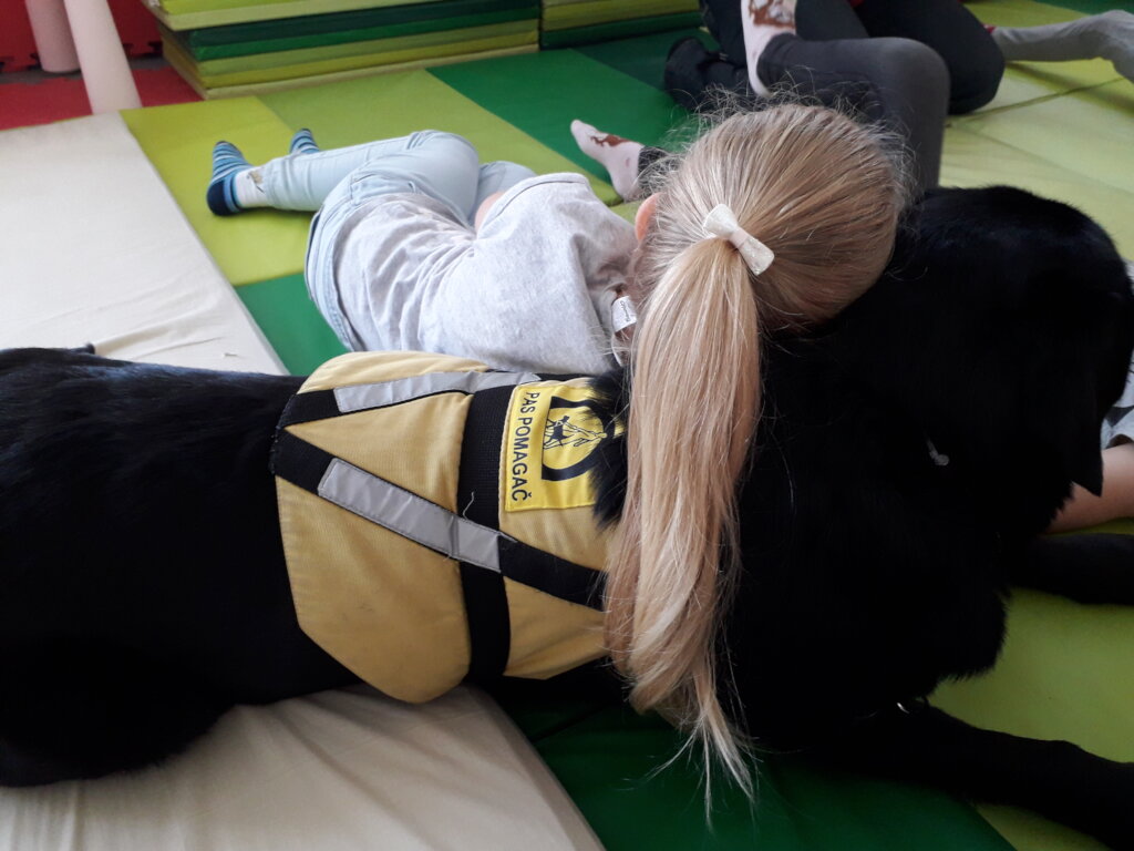 Help children and youths get assistance dogs