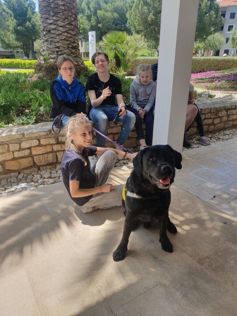 Help children and youths get assistance dogs