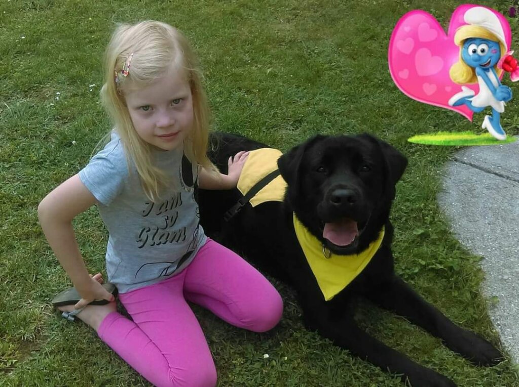 Help children and youths get assistance dogs