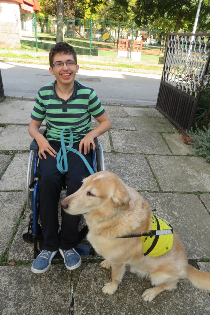 Help children and youths get assistance dogs