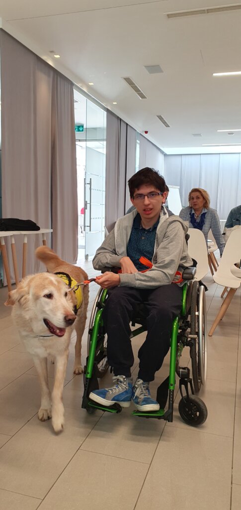 Help children and youths get assistance dogs