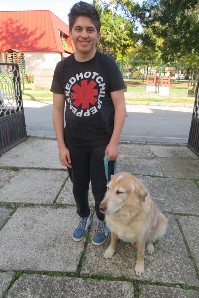 Help children and youths get assistance dogs