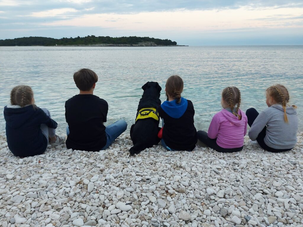 Help children and youths get assistance dogs