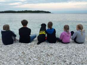 Help children and youths get assistance dogs