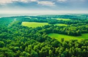 Green Is Gold Project In Uganda