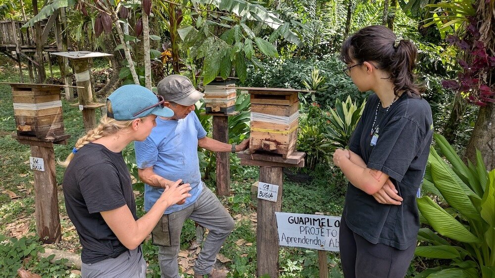Sarah and Lara learn about bees from Gilberto