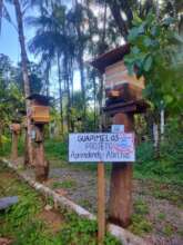 Guapiruvu meliponario, newly installed