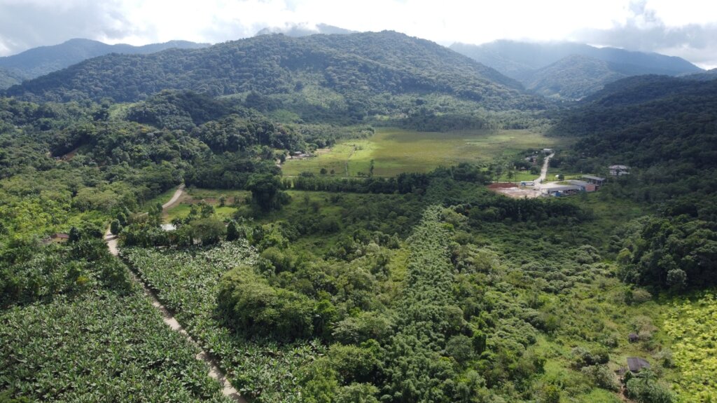 Beeworks Brazil:  Beehives for Forest Families