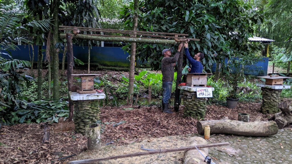 Beeworks Brazil:  Beehives for Forest Families