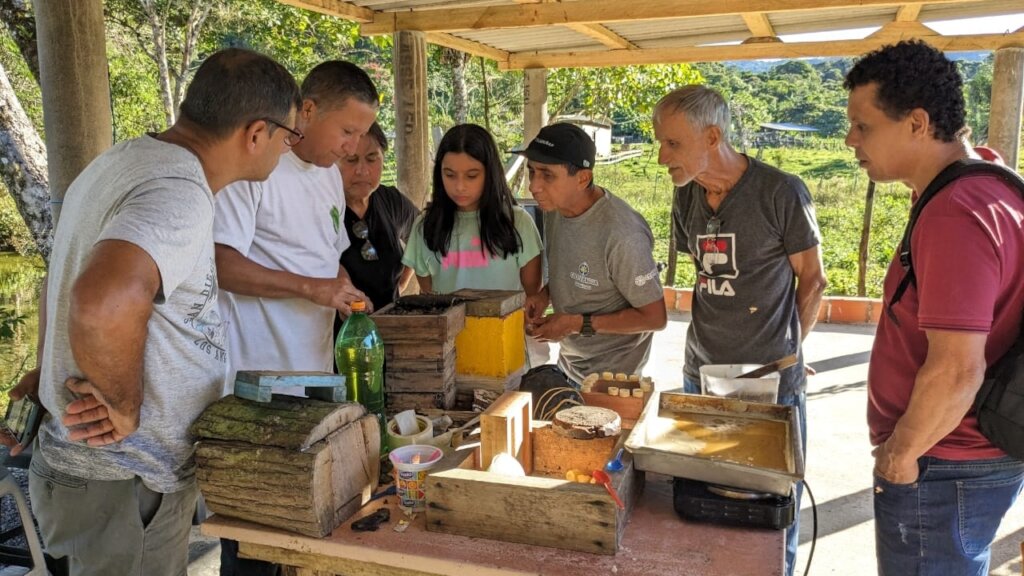 Beeworks Brazil:  Beehives for Forest Families