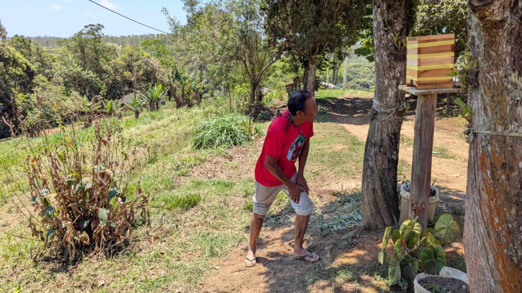 Beeworks Brazil:  Beehives for Forest Families