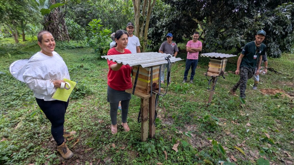 Beeworks Brazil:  Beehives for Forest Families