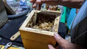 Harvesting honey form an inactive hive