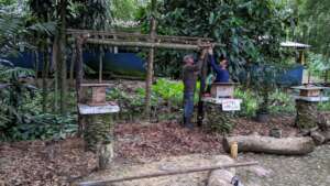 Meliponario Construction