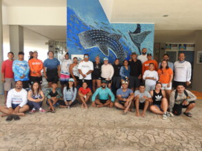 Whale shark conservation is everyone's task