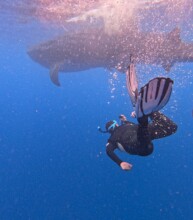 Local guide checking if it is a female or a male