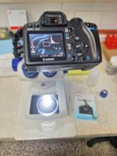 Zooplankton samples analysis in the CINVESTAV lab