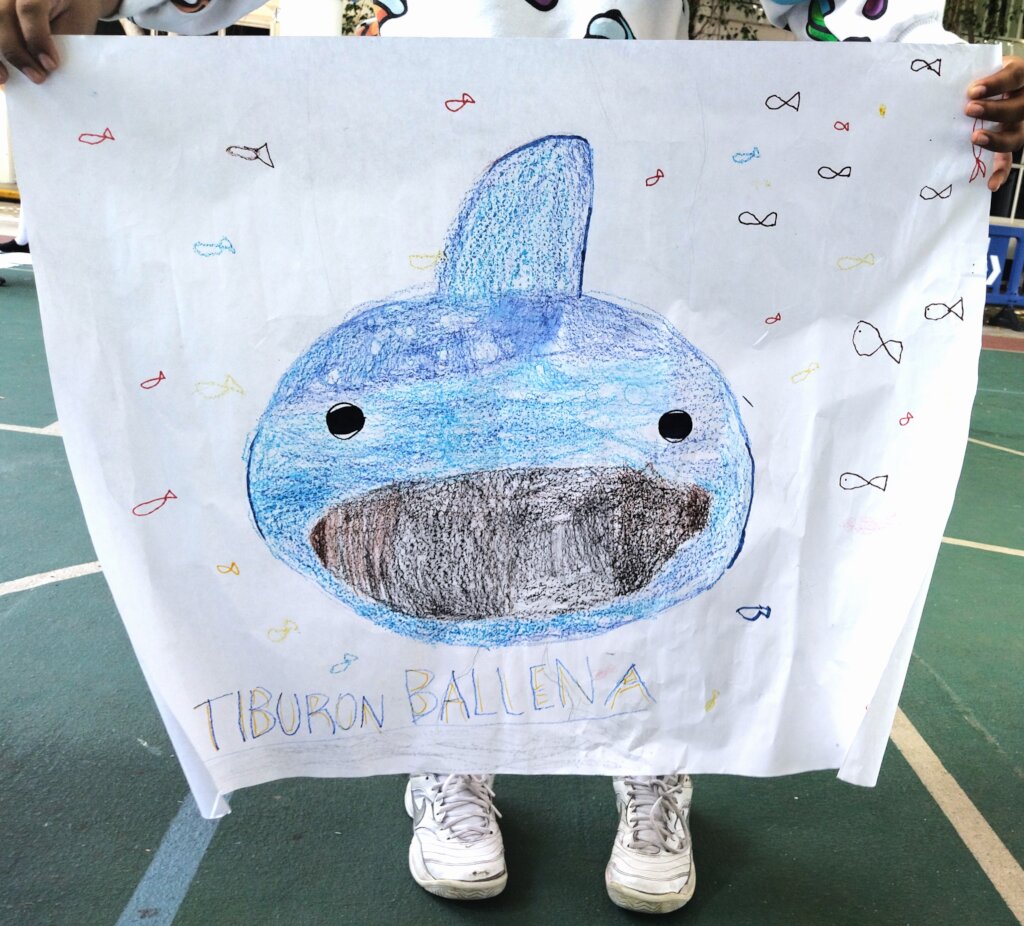 Strengthen Education for Whale Sharks Conservation