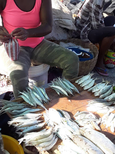 Equipment for Fishermen in Southern Haiti