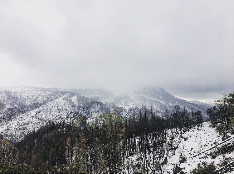 Rebuilding Lives After Nature's Fury