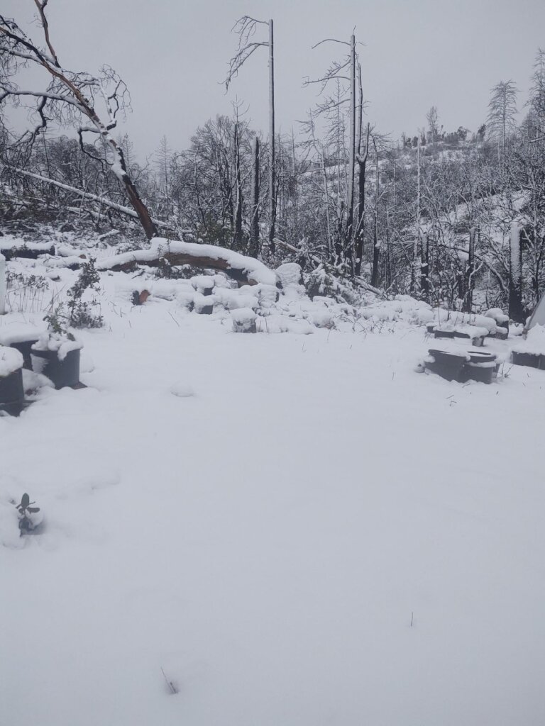 Rebuilding Lives After Nature's Fury