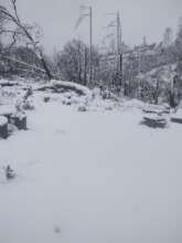 Winter Storm