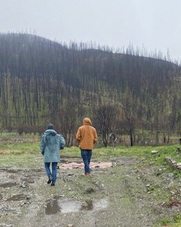 Embracing Tomorrow: McKinney Fire Recovery