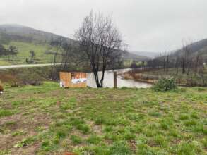 Embracing Tomorrow: McKinney Fire Recovery