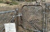 Historical Black Neighborhood Ravaged By Mill Fire