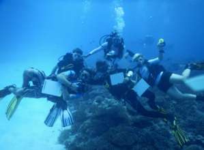 Finding our underwater treasure