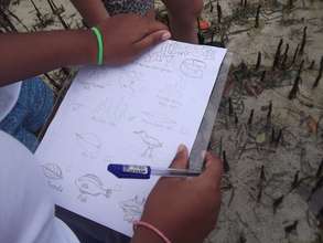 Mangrove Workshop