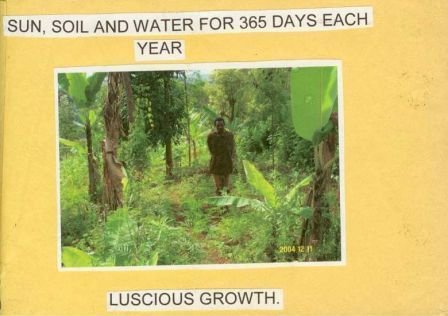 Improve food security to 1000 households in kenya