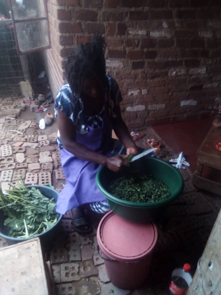 Borehole Water Project for Agriculture Program