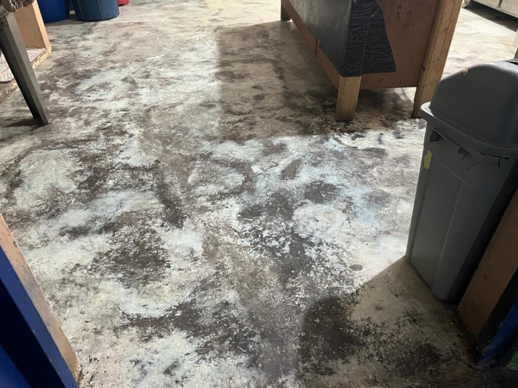 RENOVATED KITCHEN, A PROJECT TO INSPIRE