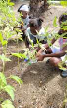 We take care of other spaces beyond the garden