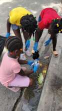We collect the plastic