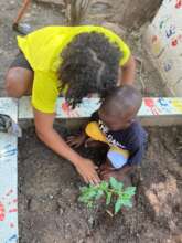 University students help us to plant