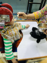 Child has cerebral palsy and requires therapies