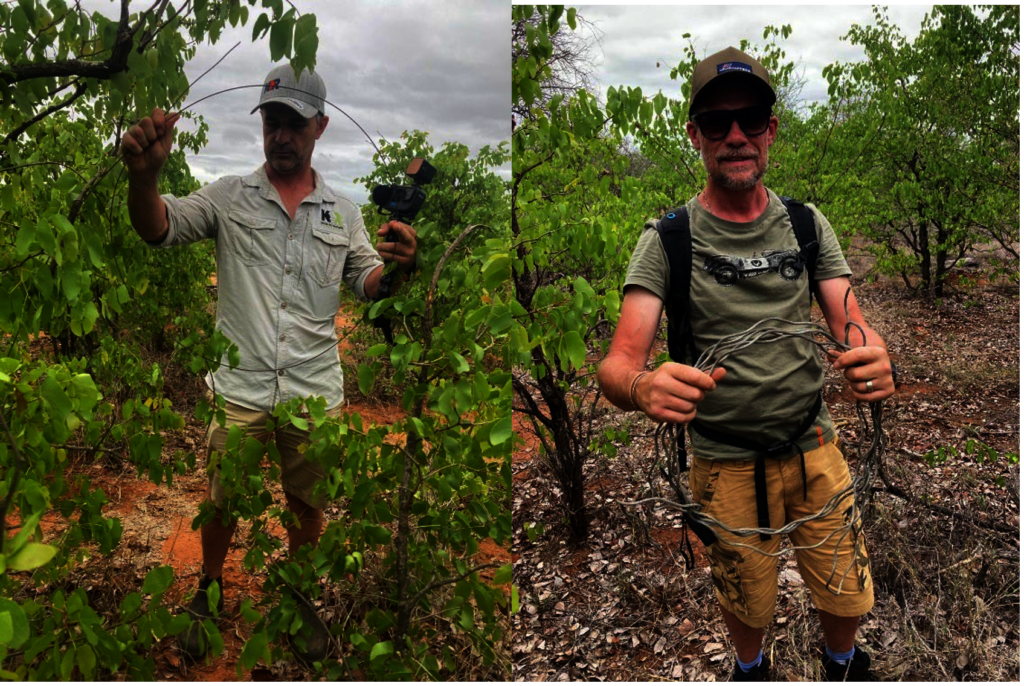 Rapid Response to Lion Poisonings in South Africa