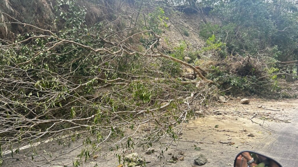 Emergency Response: Earthquake in Hualien, Taiwan