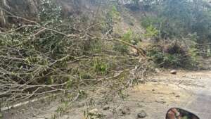 Post-earthquake conditions on a mountain road