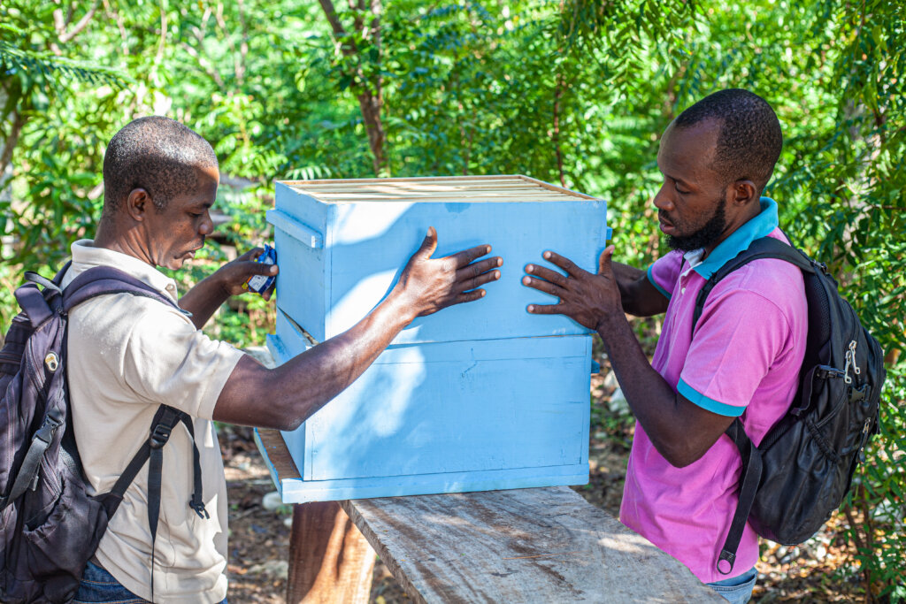 Hope and Solidarity 4 Haiti!