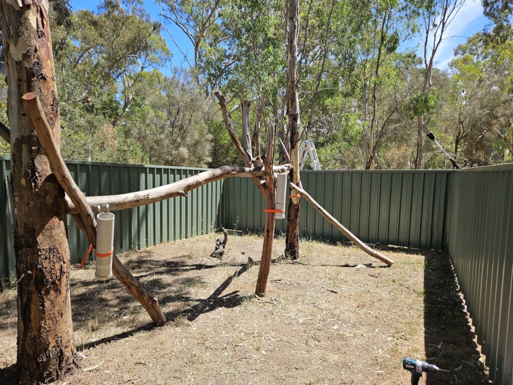 Help Save South Australia's Koalas and Echidnas